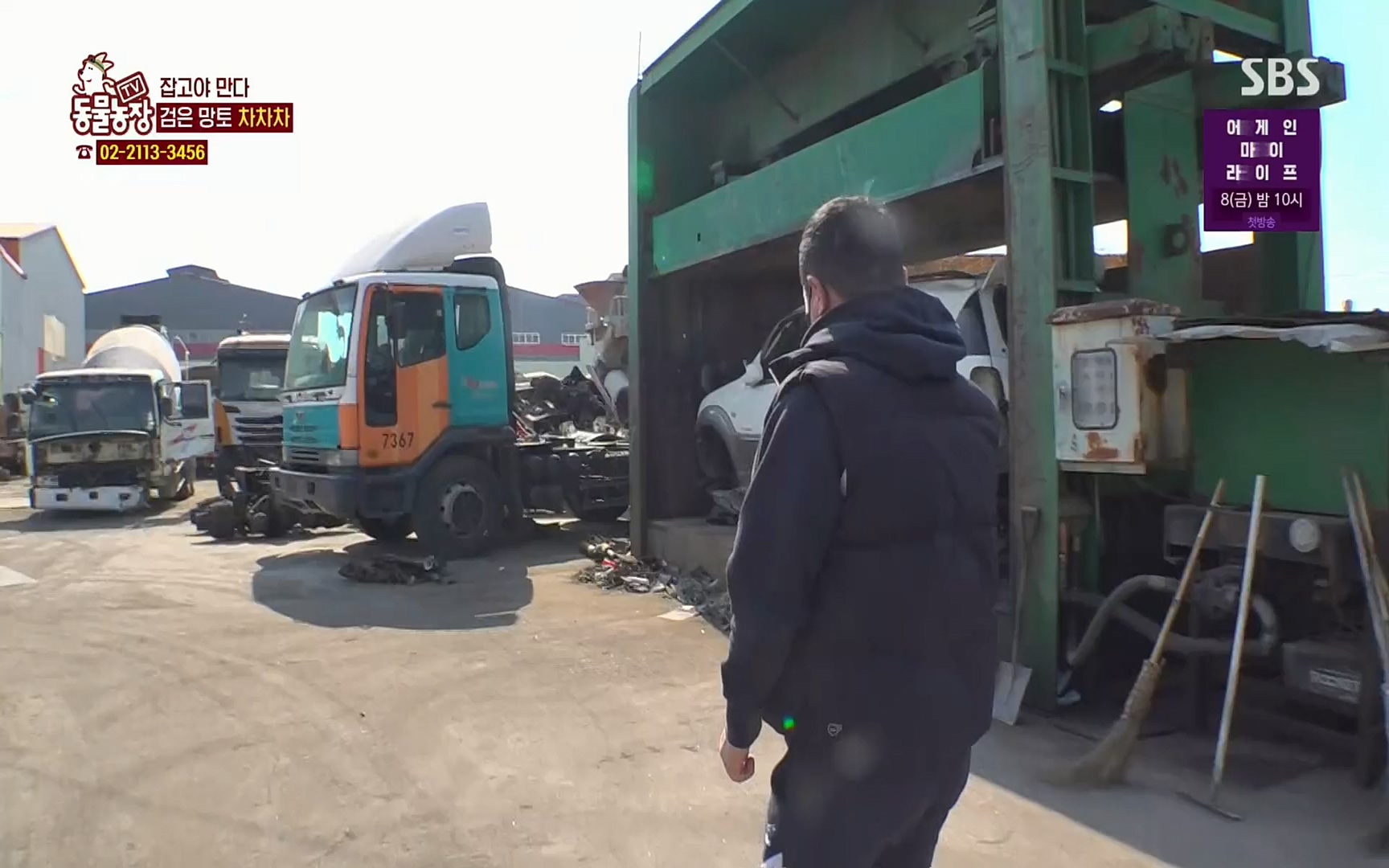 TV 동물농장.E1063.220403p.H264-F1RST.mp4_20220403_175113.526.jpg