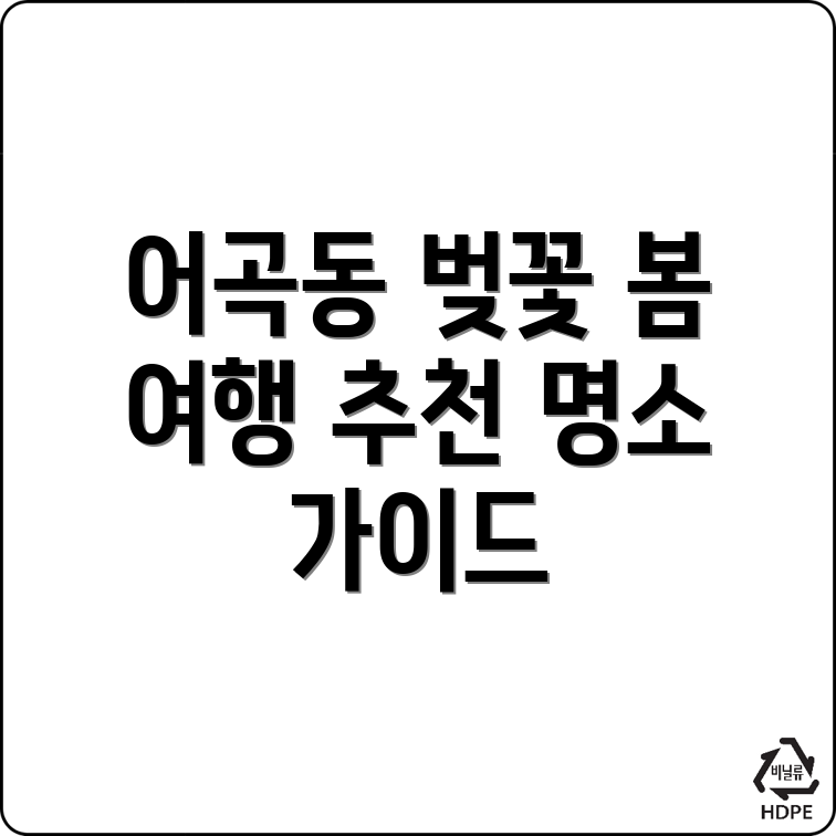 어곡동 벚꽃