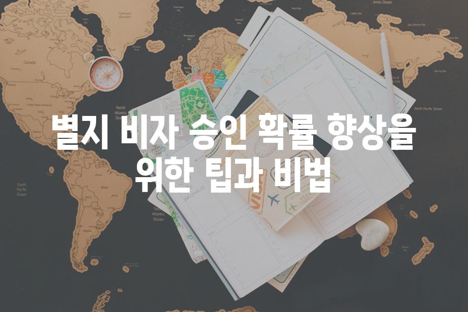 별지 비자 승인 확률 향상을 위한 팁과 비법