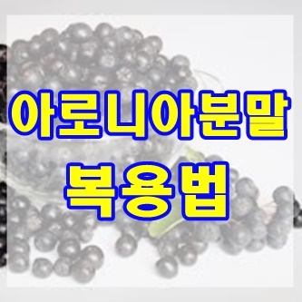  아로니아 분말 복용법 효능 부작용