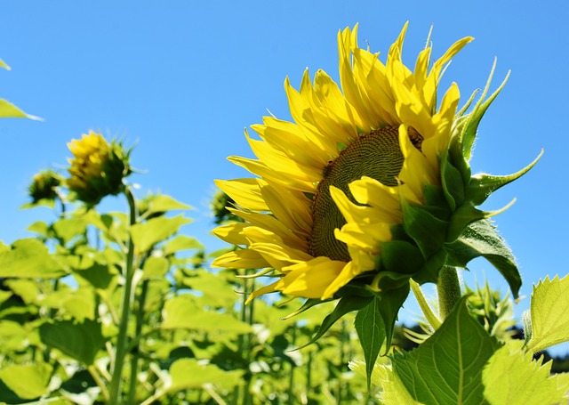 인천 드림for청년통장 신청 자격 알아보기