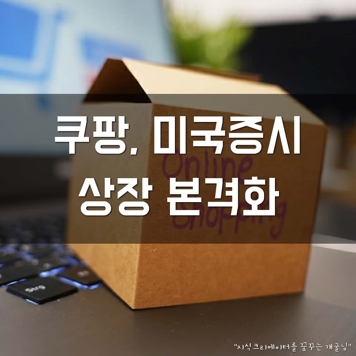 쿠팡, 미국증시 상장 본격화