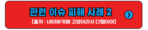 관련 이슈 피해 2