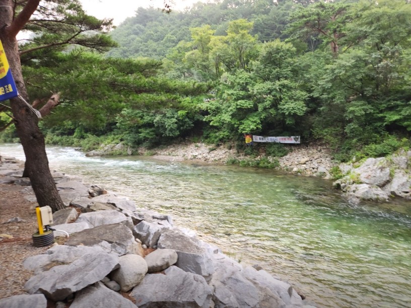 샘골밭야영장