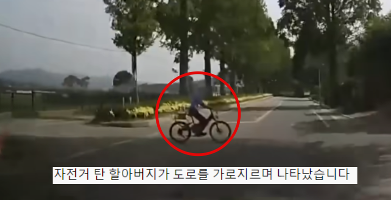  도로 가로지르는 자전거 할아버지(영상 있음)