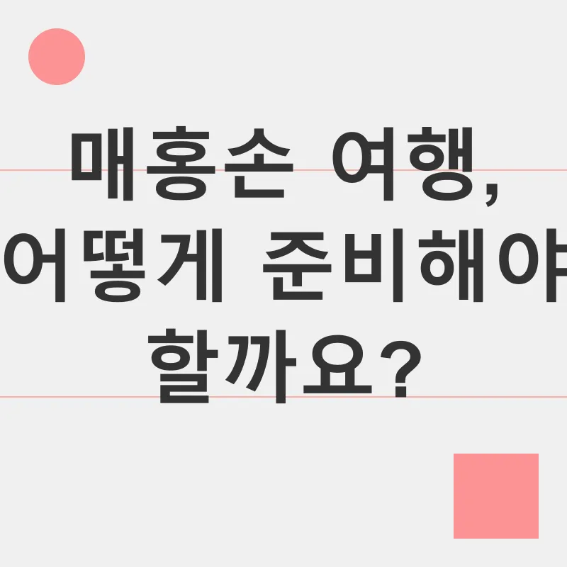 매홍손 여행_3
