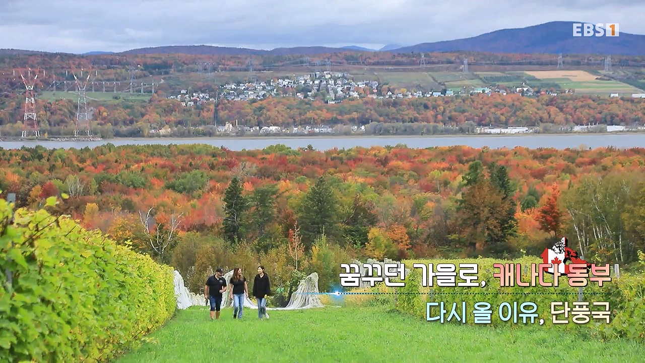 세상의모든기행꿈꾸던 가을로 캐나다 동부-다시 올 이유, 단풍국.mp4_20231127_202259.485.jpg