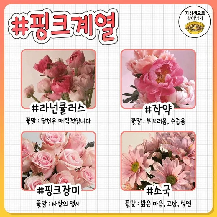 예쁜 꽃말 추천 모음 이해할수록 매력적인 꽃들의 꽃말 안내 모음_1