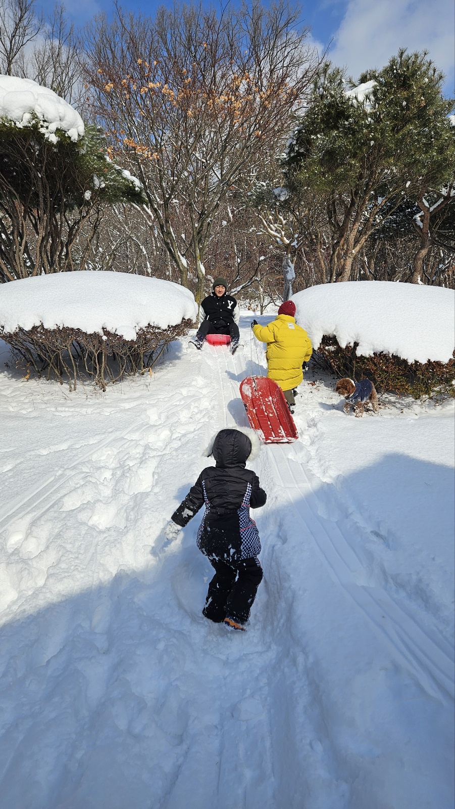 설 이미지