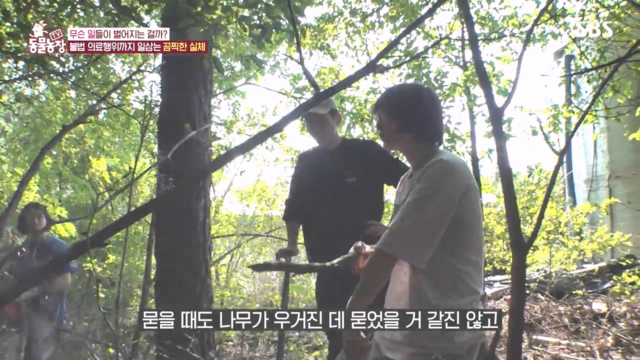 TV 동물농장.E1142.231023p-NEXT.mp4_20231022_172503.519.jpg