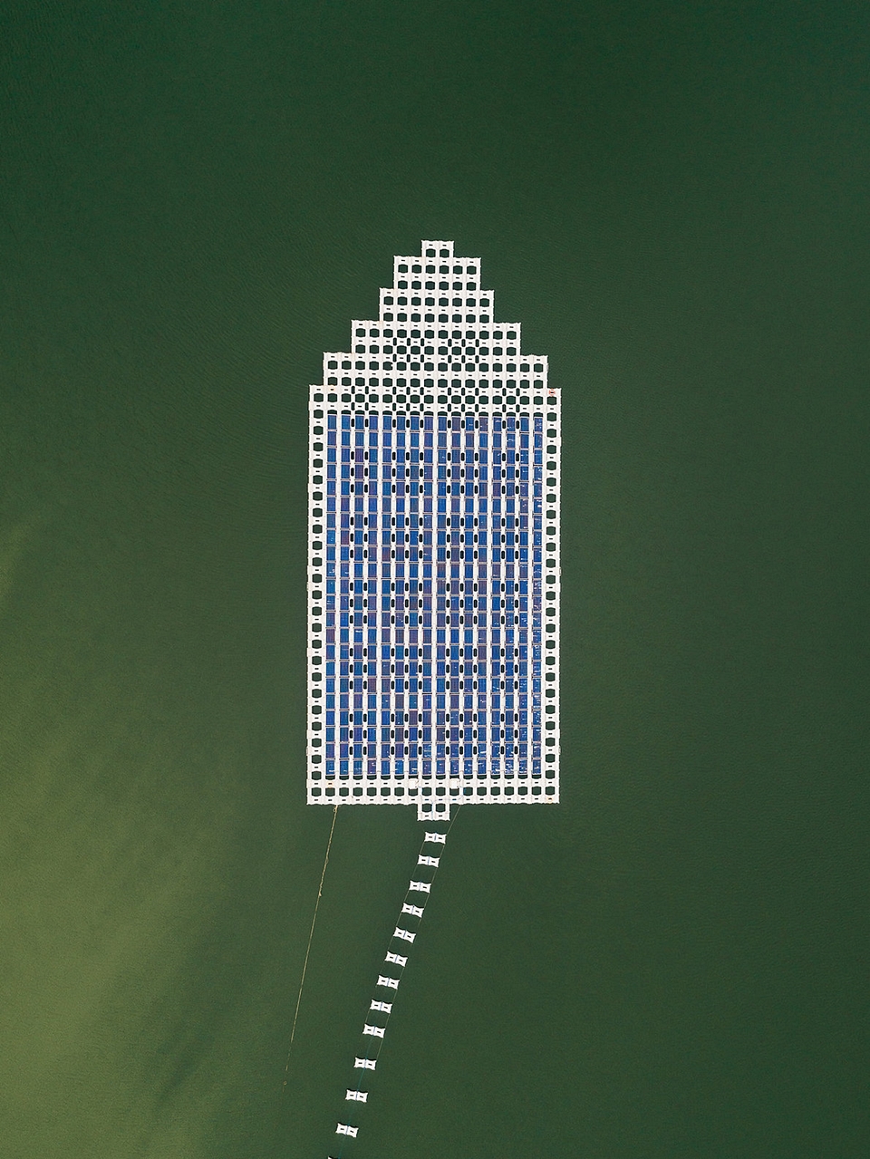 img.jpg