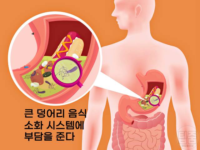 음식 빨리 먹으면 음식 빨리 먹는 사람 밥 빨리 먹으면 안되는 이유 소화불량