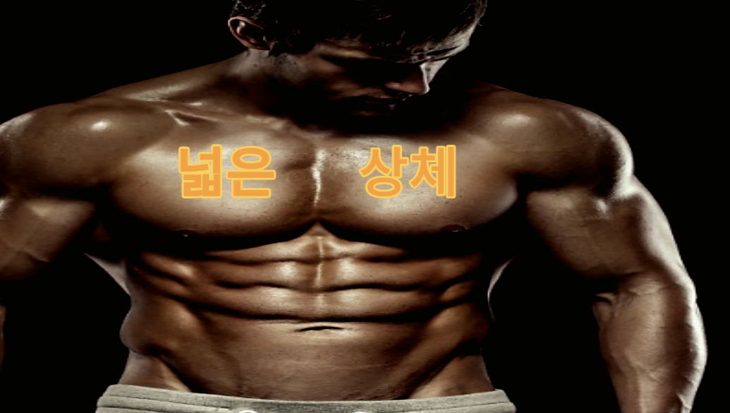  이렇게만 따라하면 무조건 가슴 근육 커집니다!