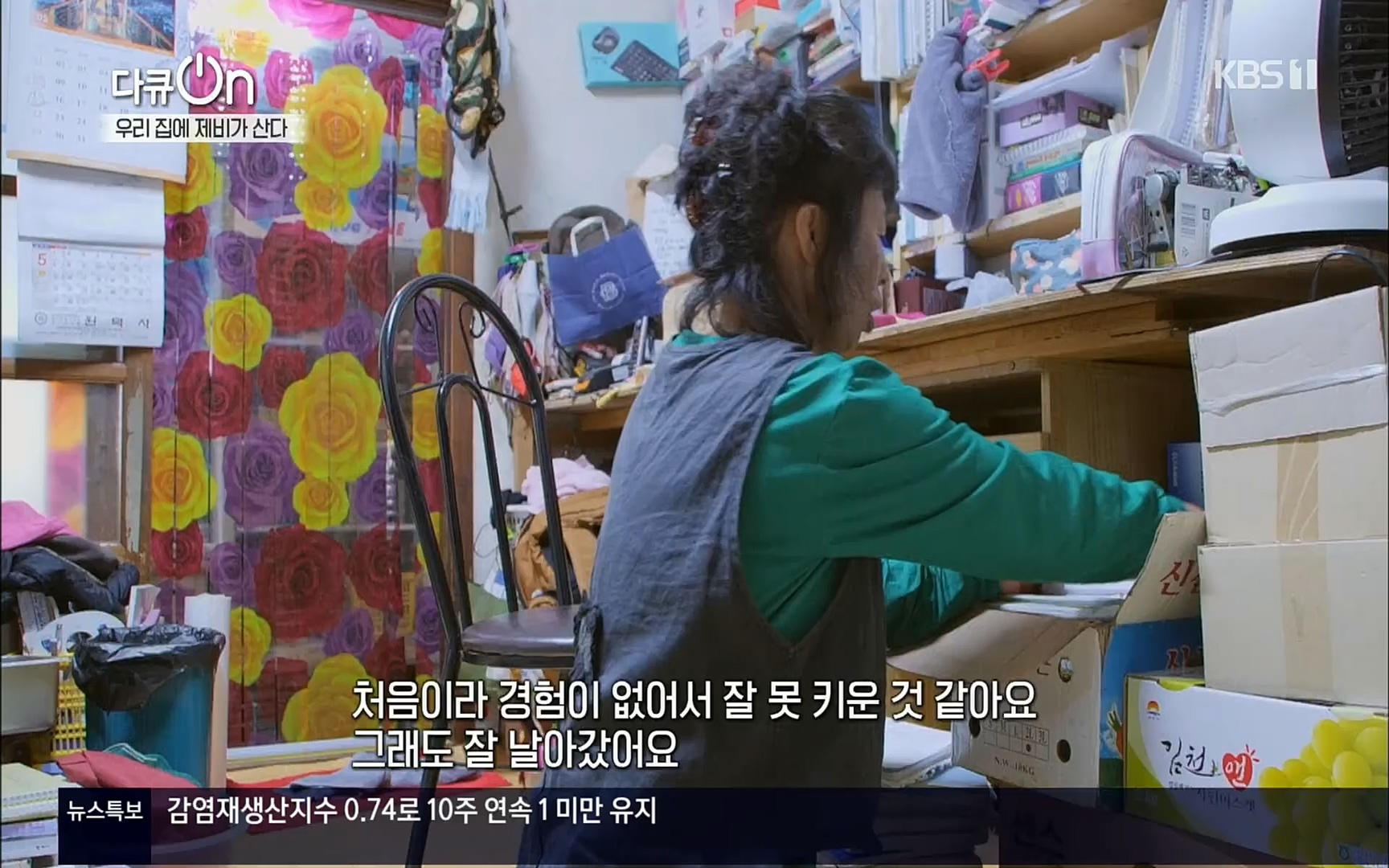 다큐 On.E143.220610p.H264-F1RST.mp4_20220613_202644.572.jpg