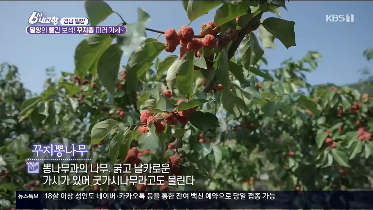 6시 내고향.E7640.221019p.H264-F1RST.mp4_20221020_164029.186.jpg