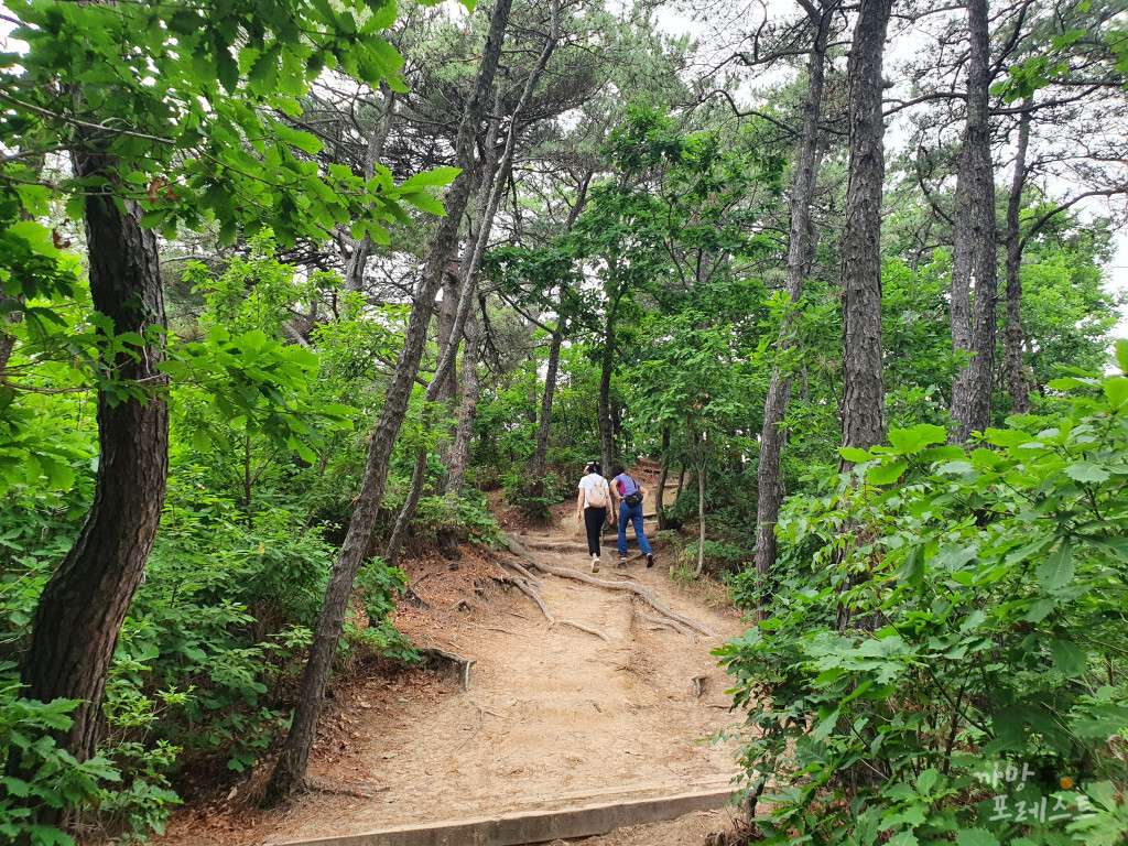 칠보산 등산