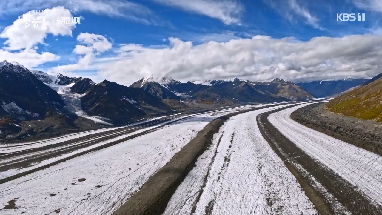 KBS 대기획 3부작 빙하.E01.240308p-NEXT.mp4_20240310_145931.117.jpg