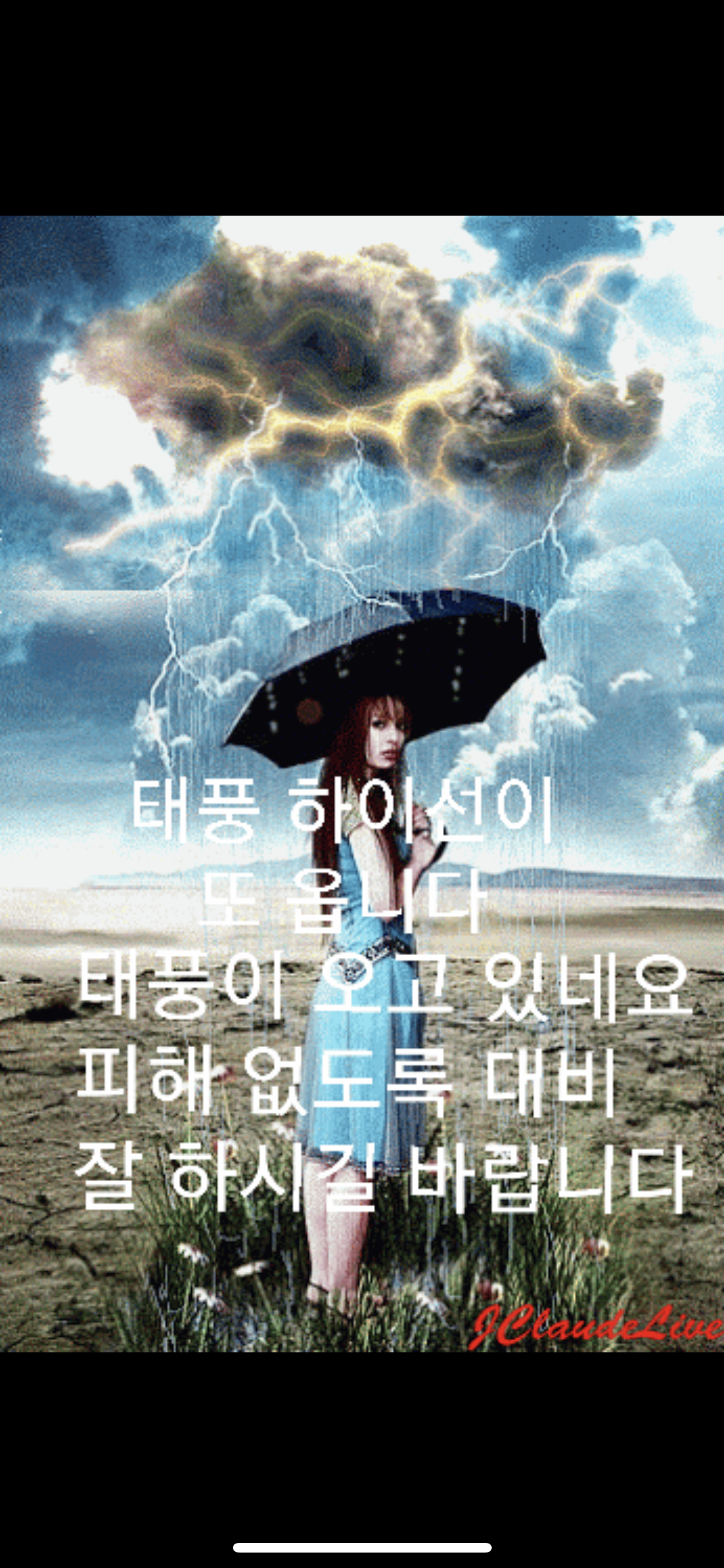 오작교 이미지