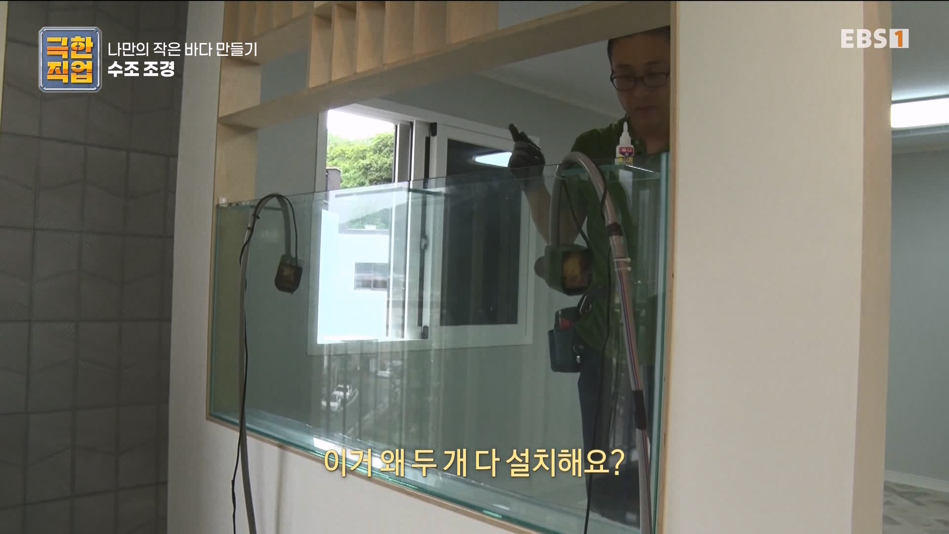 [극한 직업] 수조 조경.mp4_20230822_204222.885.jpg
