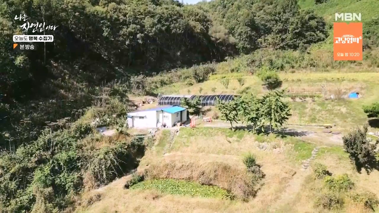 나는 자연인이다.E578.231102p-NEXT.mp4_20231102_202929.719.jpg