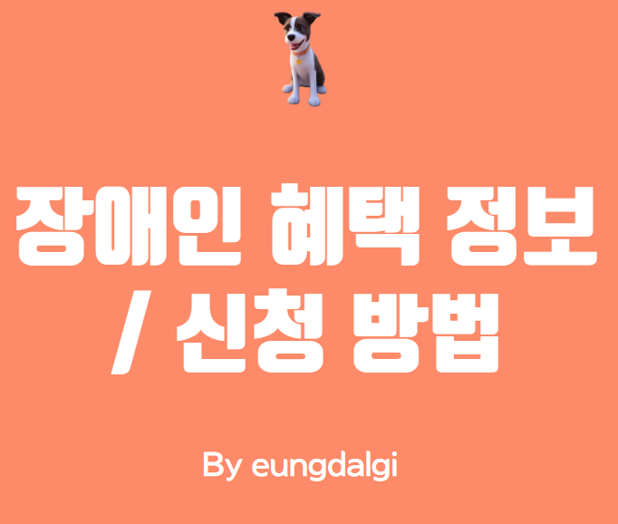  장애인 혜택 정보 / 신청 방법