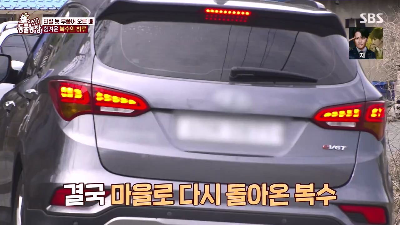 TV 동물농장.E1173.240527p-NEXT.mp4_20240526_155722.897.jpg