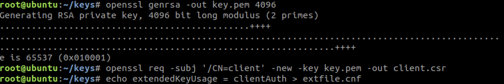 generate key.pem