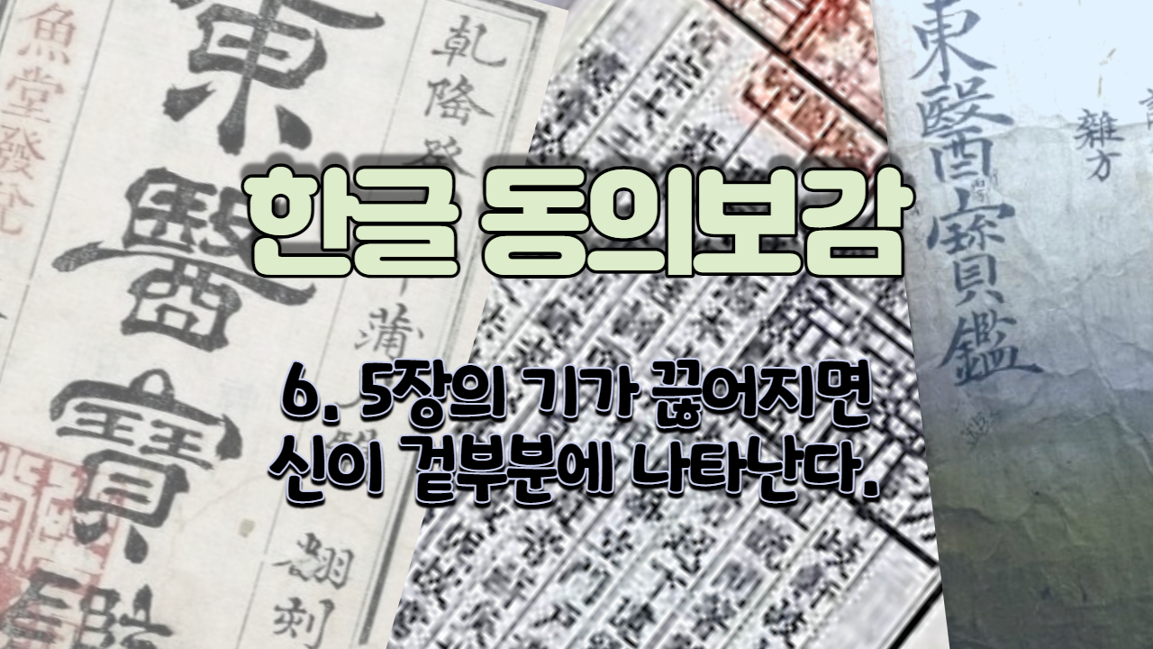  6. 5장의 기[藏氣]가 끊어지면 신(神)이 겉부분에 나타난다 ( 내경편 신 )
