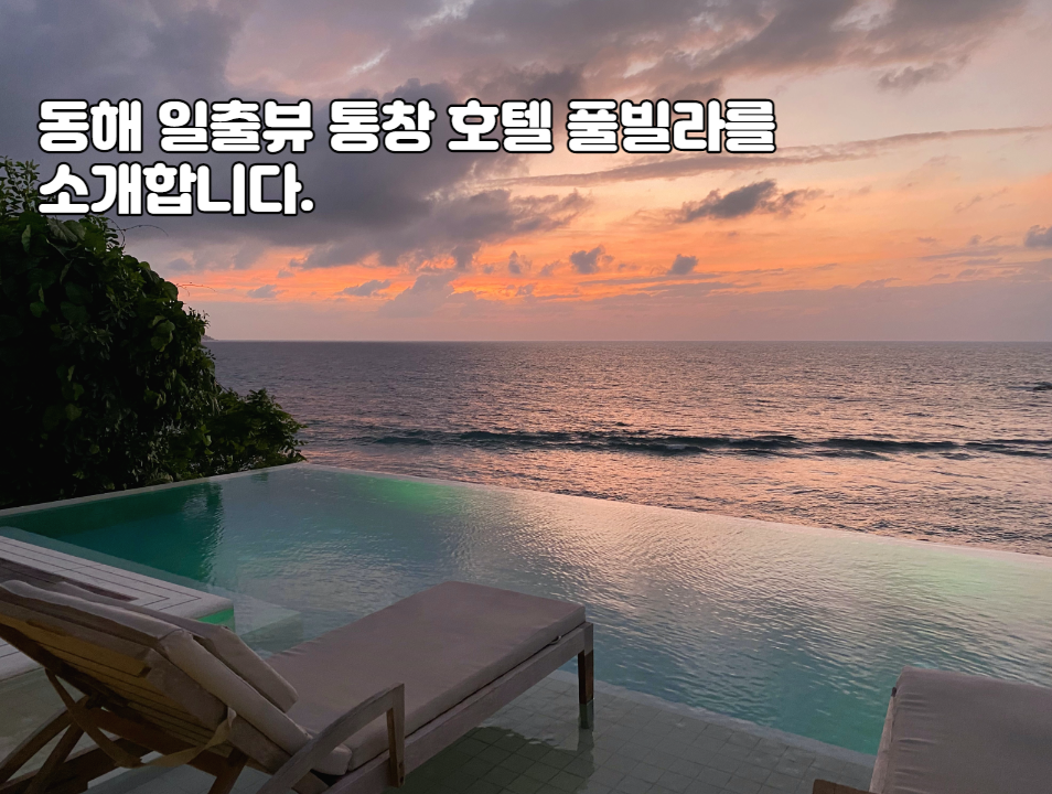  동해 일출뷰 통창, 루프탑 호텔 및 리조트, 풀빌라 소개 (Feat. 스파, 개인 수영장)
