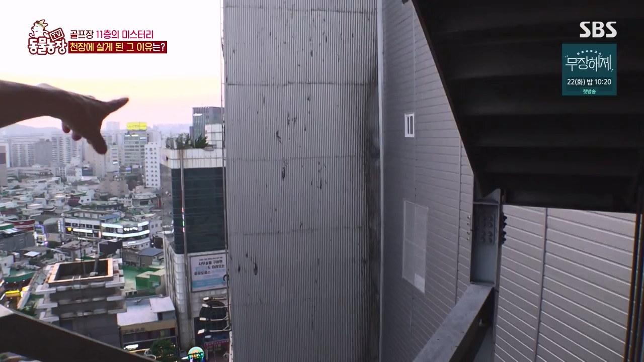 TV 동물농장.E1133.230814p-NEXT.mp4_20230813_171350.790.jpg