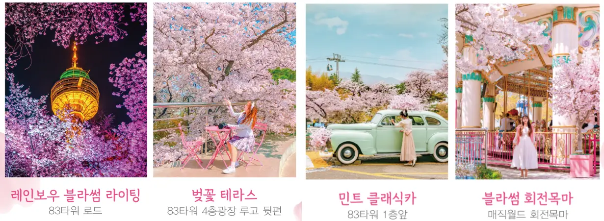 이월드 포토 스폿 사진