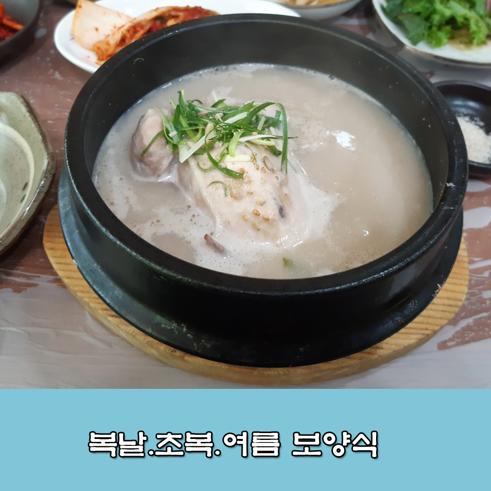  초복,복날.여름 보양식.여름철 건강 관리