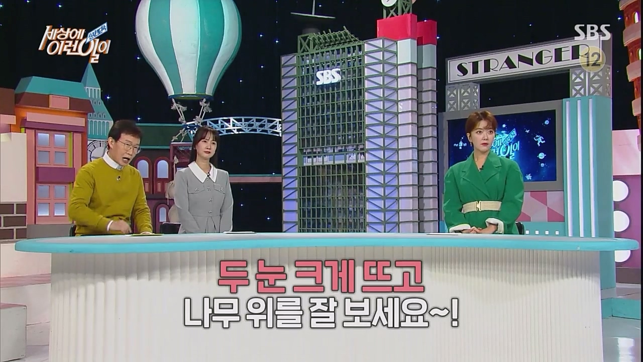 순간포착 세상에 이런 일이.E1217.230215p.WANNA.mp4_20230215_194716.873.jpg