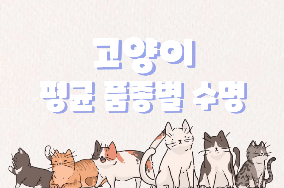 여러 종류의 6마리 고양이 일러스트