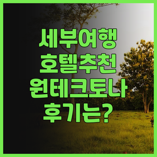 세부 여행 호텔 추천 세부 원 테크토