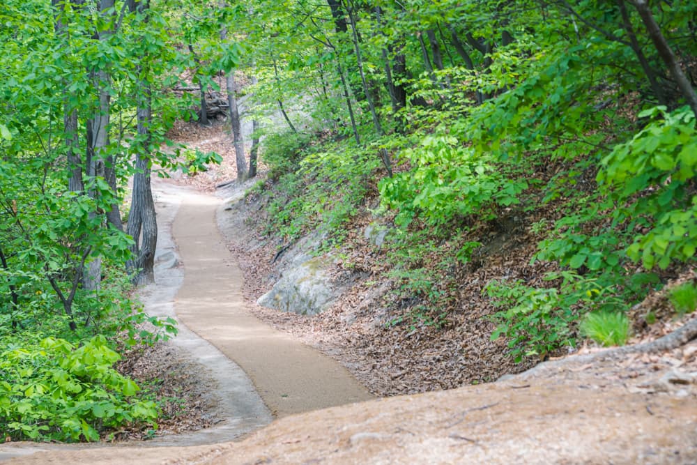 산책로