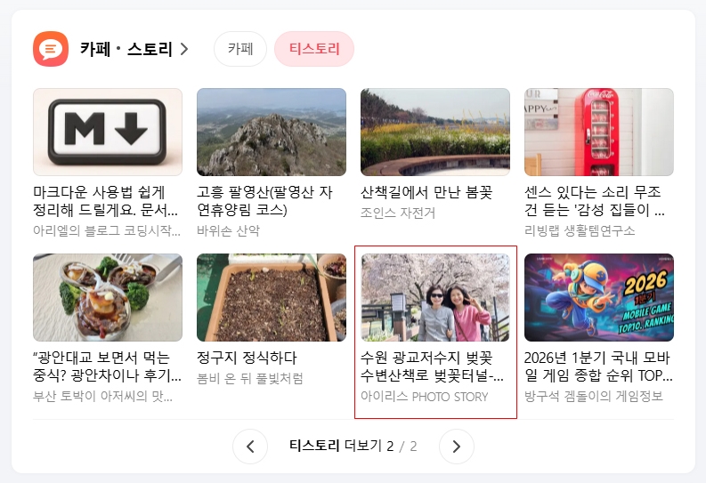 아이리스 대표 사진
