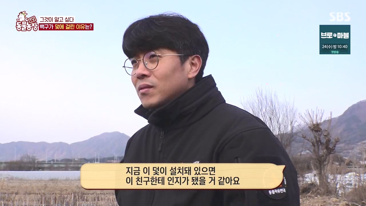 TV 동물농장.E1155.240122p-NEXT.mp4_20240121_145931.084.jpg