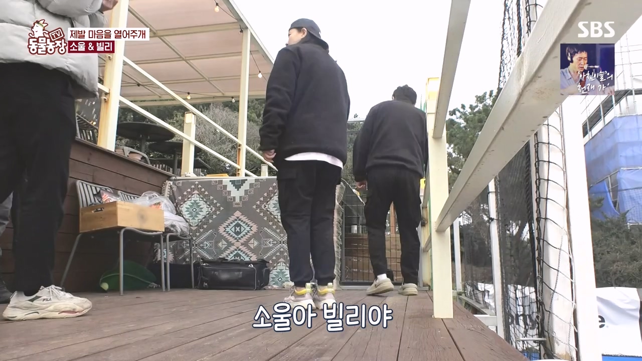 TV 동물농장.E1167.240415p-NEXT.mp4_20240414_160939.539.jpg