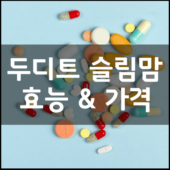 두디트-슬림맘-성분-효능-가격