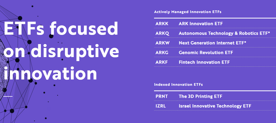  테슬라 주가가 부담된다면 혁신 테마 ETF ARKK