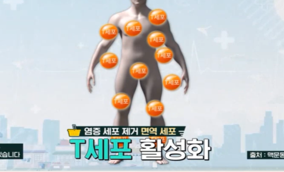 맥문동 효능