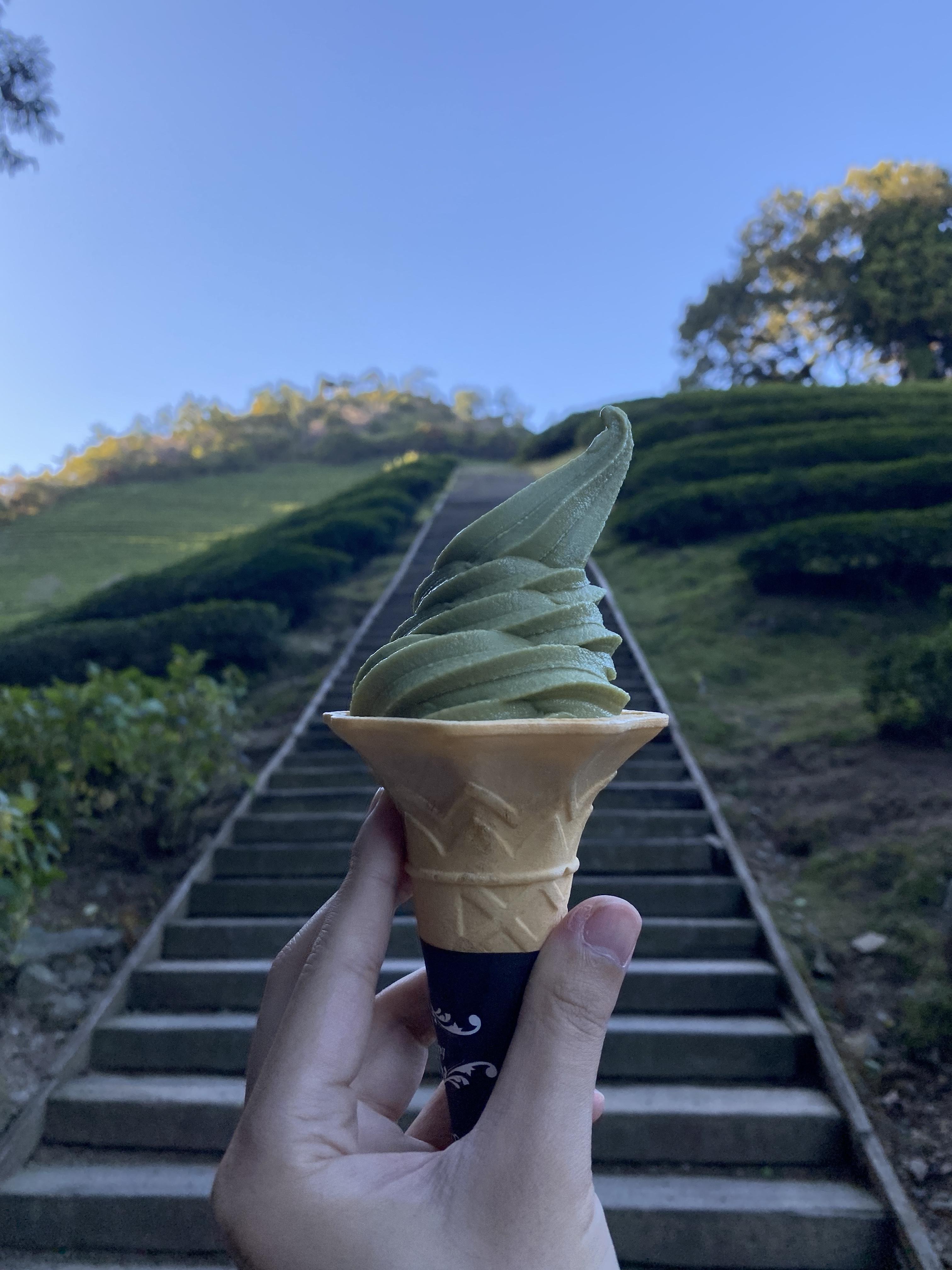  전남 보성군 가볼만한곳 보성녹차밭 보성녹차밭카페 대한다원쉼터 녹차아이스크림 녹차기념품 녹차라떼 녹차쫀드기