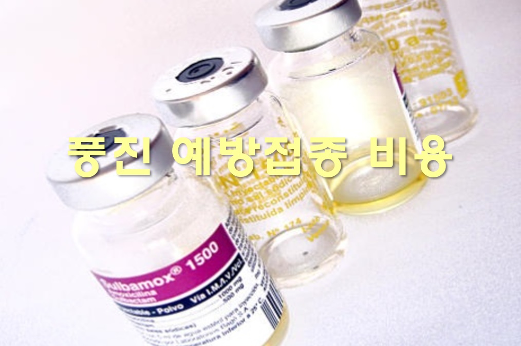  MMR 풍진 예방접종 비용과 항체 검사 방법