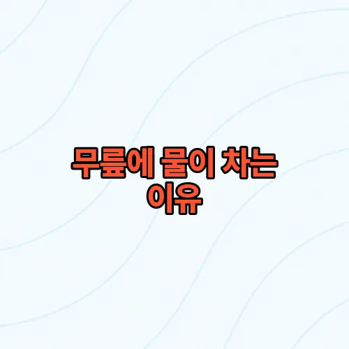무릎에 물이 차는 이유, 퇴행성관절염만 있는 게 아니다!