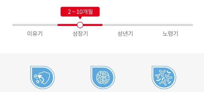 로얄캐닌 엑스스몰