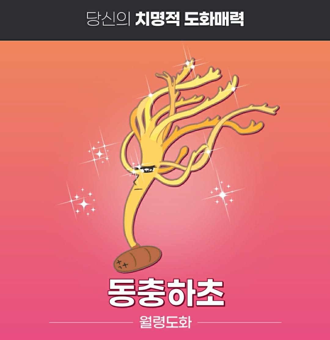 도화 이미지