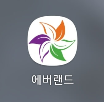 에버랜드-앱