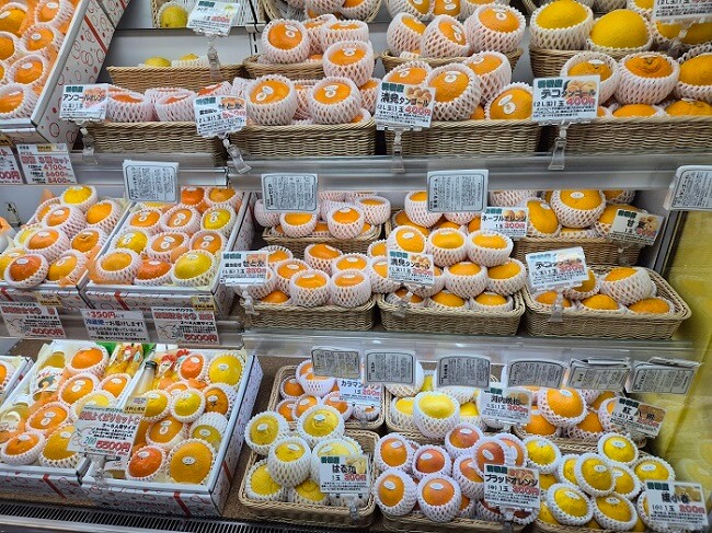 귤 전문점 noma-noma(のま果樹園松山大街道店)
