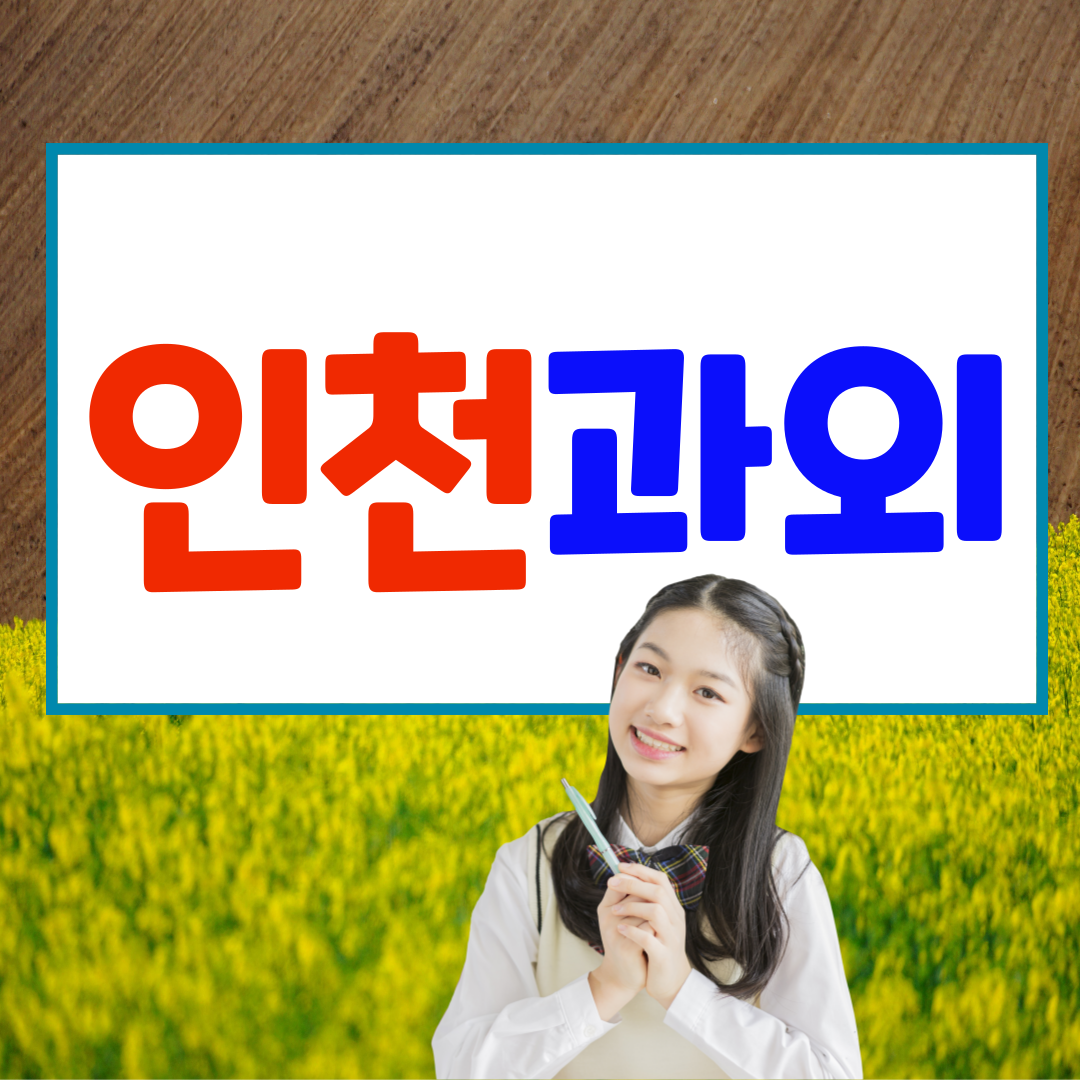  인천 금곡동 중등 수학과외 원당동 영어과외 고등 역사 물리